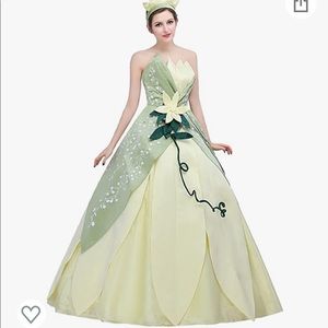 Princess Tiana Costume